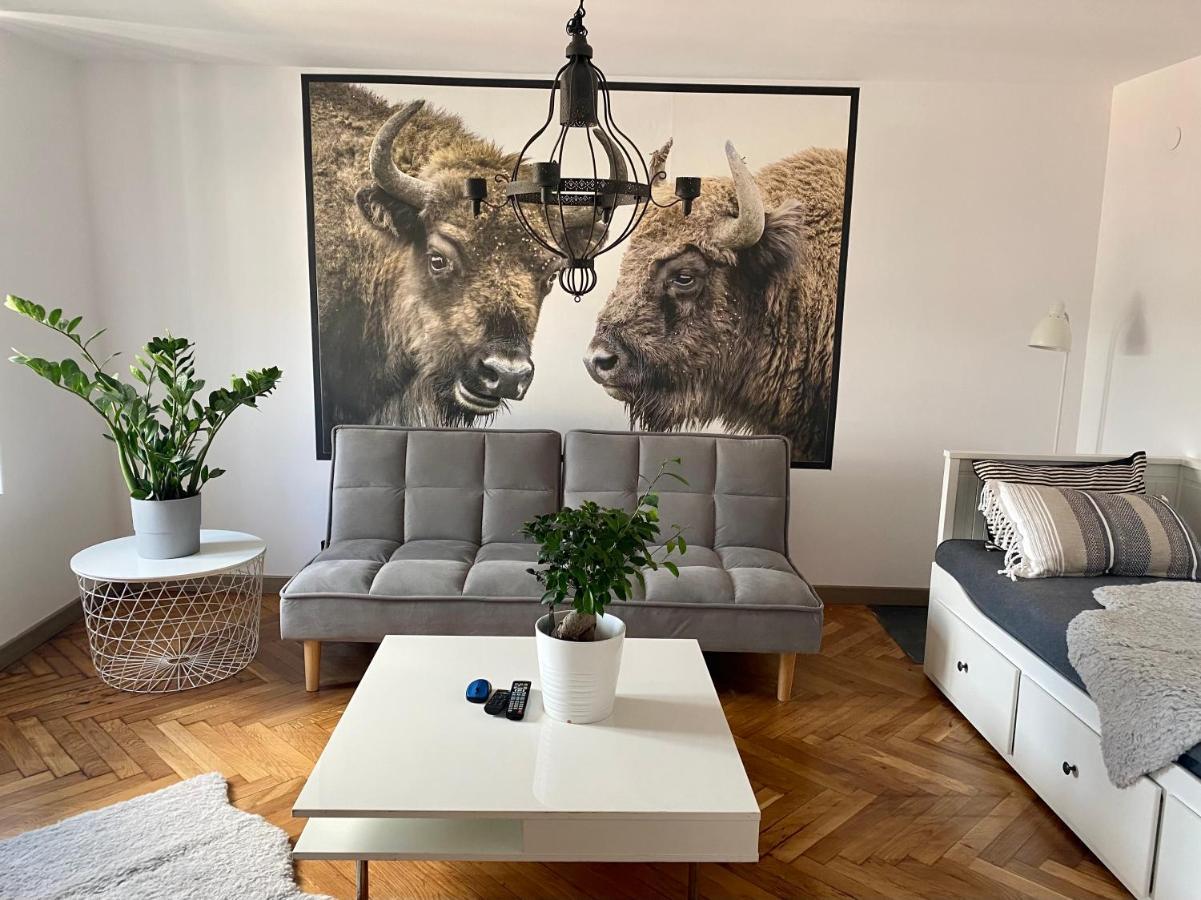 Apartamenty Pod Zabami Nr 2 别尔斯克-比亚拉 外观 照片